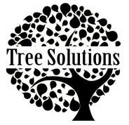 Best Tree Service Scarborough